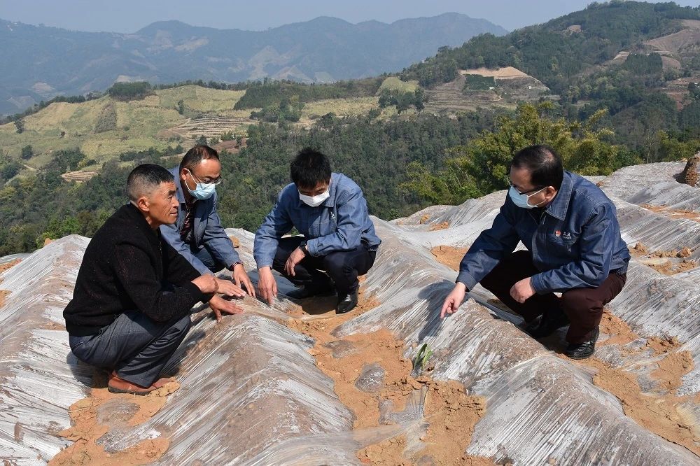 1584064197285849.jpg 942d4934f9eb9a71840cd3969446bc12.jpg