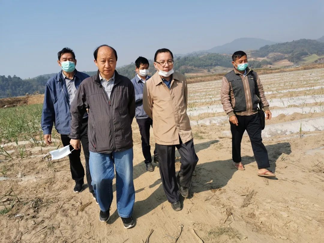 1584330607956012.jpg 32be416c2862d079f7fa42386f8303bc.jpg