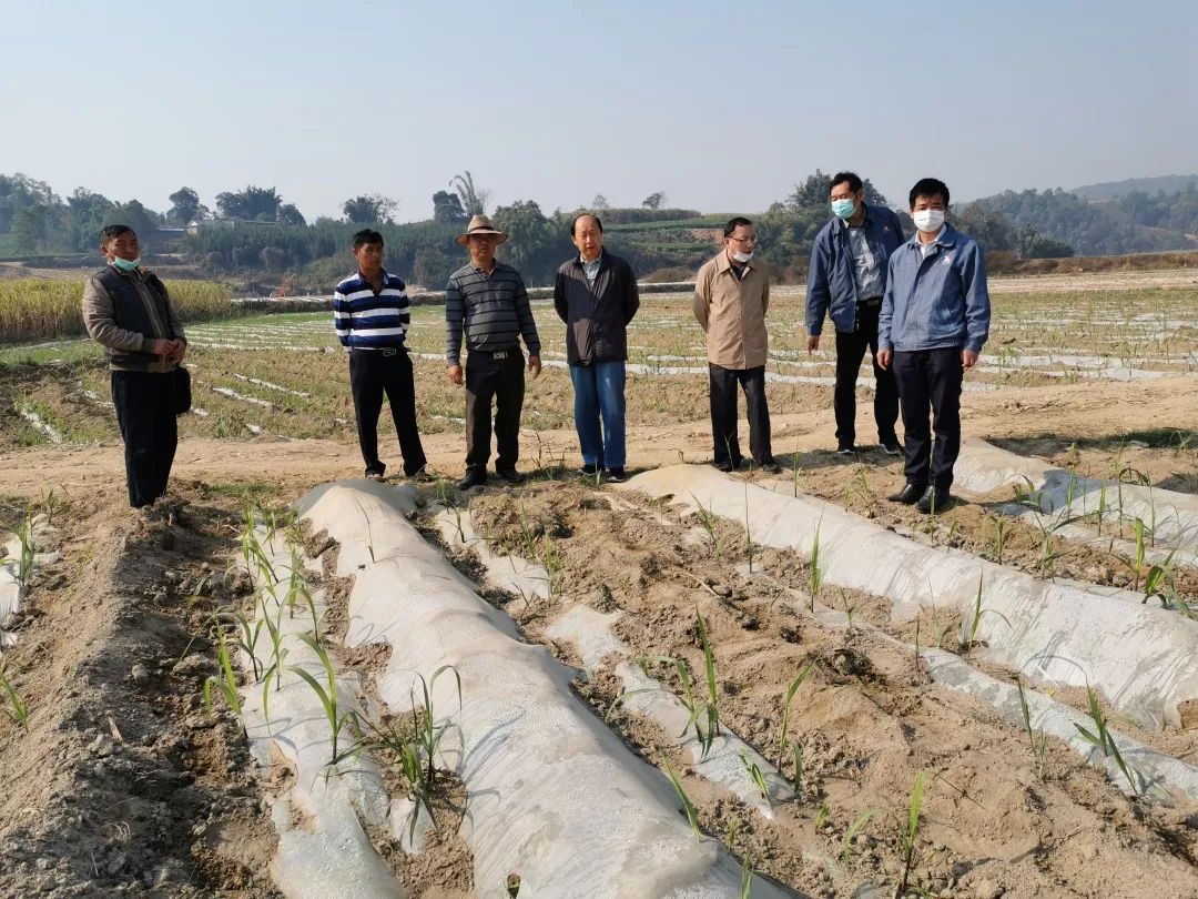 1584330663247677.jpg 4f6aa2ceed28a5dbb8a4d0f9a1e7e945.jpg