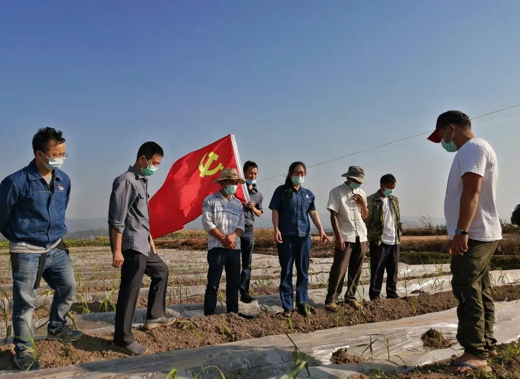 1584405475522740.jpeg WechatIMG12.jpeg