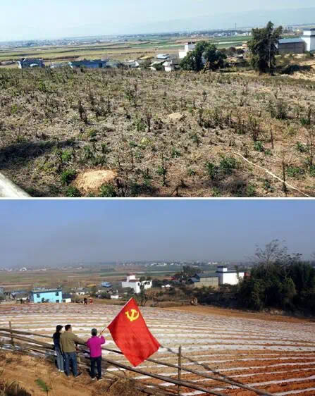 1584405579595039.jpeg WechatIMG88.jpeg