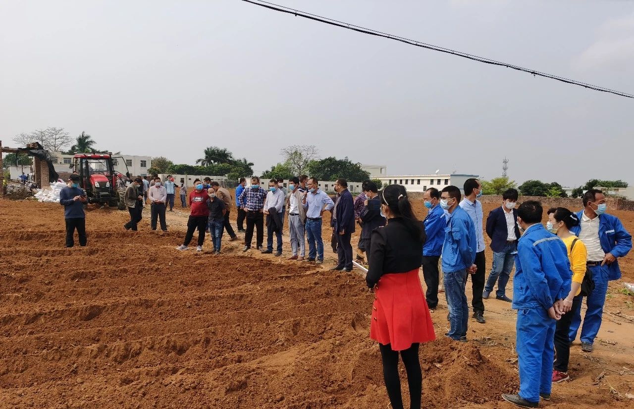 1584492862355115.jpg ee6b72804f78868642b3a186086e54d2.jpg