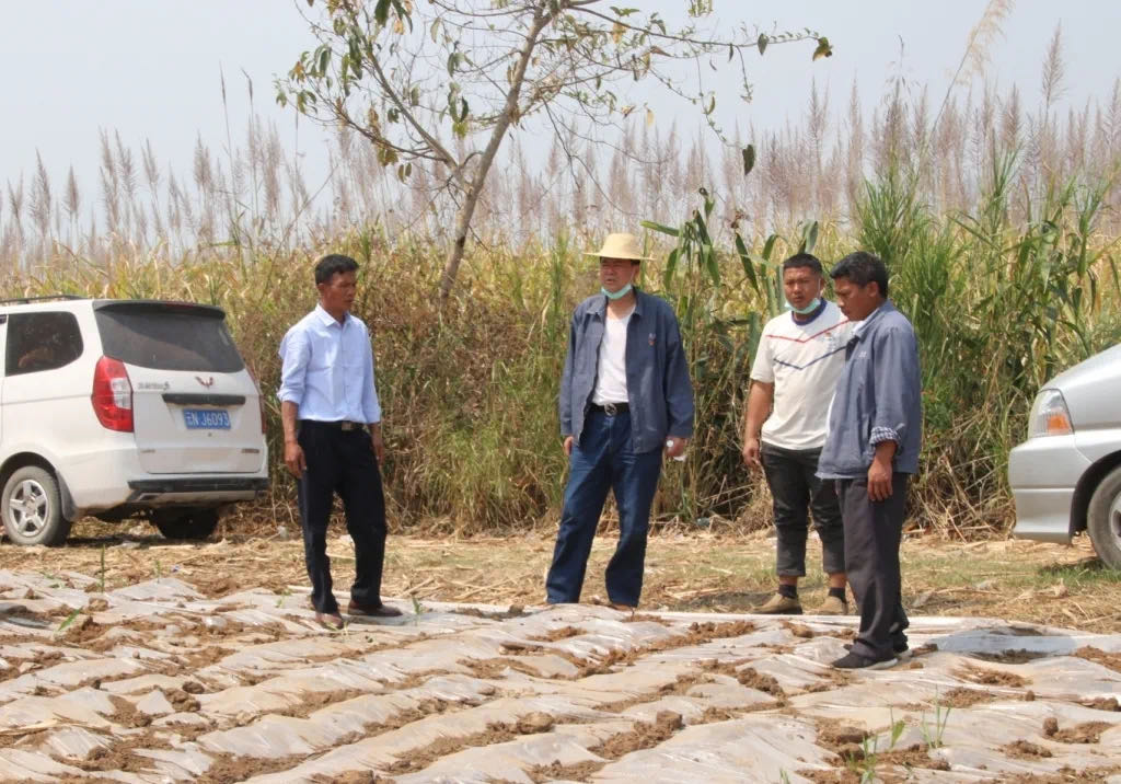 1584596086214946.jpeg WechatIMG29.jpeg