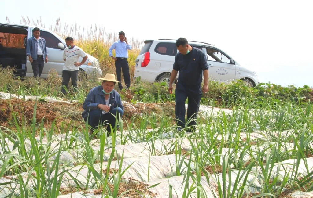 1584596101357032.jpeg WechatIMG31.jpeg