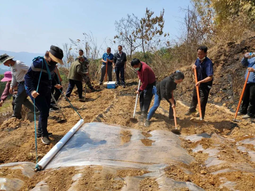 1585374077622599.jpg 96f6b7ff046aa62c7a475ed7cf4610b4.jpg