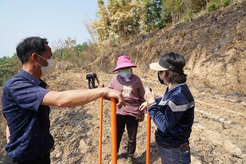 1585374130245430.jpg 2902be98c6d4a9d86bb97522ad29883c.jpg