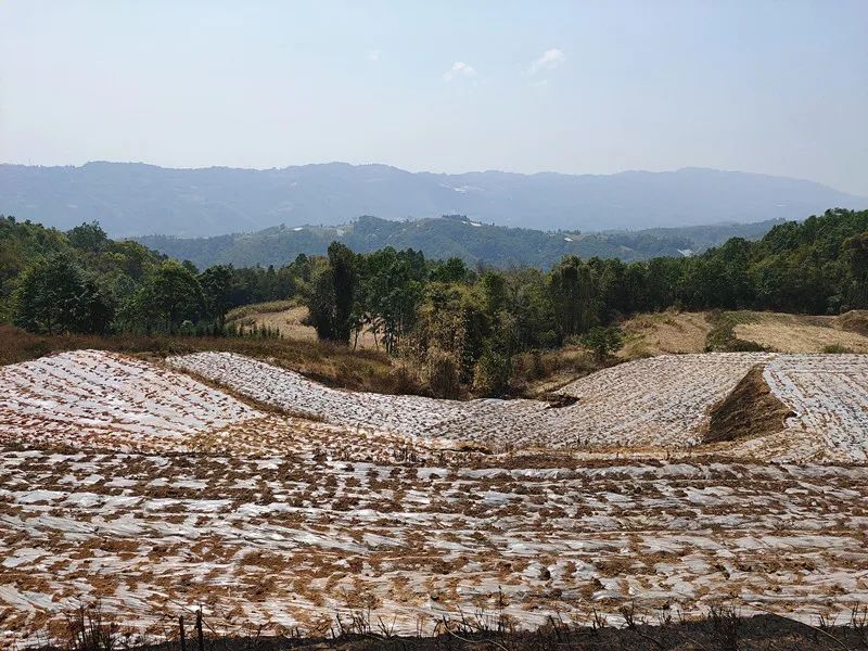 1585374220430412.jpg e82da731416f6feb41d5bdadfd4f8cb5.jpg