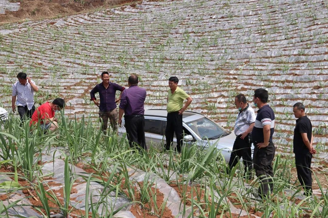 1585541597359405.jpg 80c70139aad650ef0f96fe9fe55eeea7.jpg