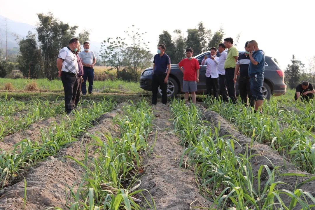 1585541626369691.jpg 50eb9c16bda95ab5a56930281d9cb7b5.jpg