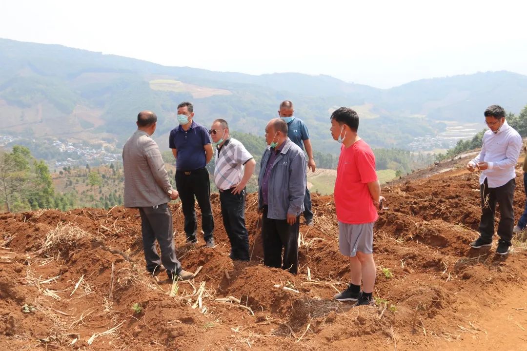 1585541649412522.jpg 4f56b92a8a67e7b61d7dd552c3b7b821.jpg