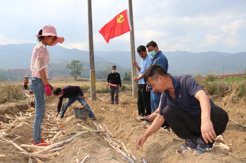 1585541919959721.jpg 9447ddde81712abbd3a32c28f9512dd0.jpg