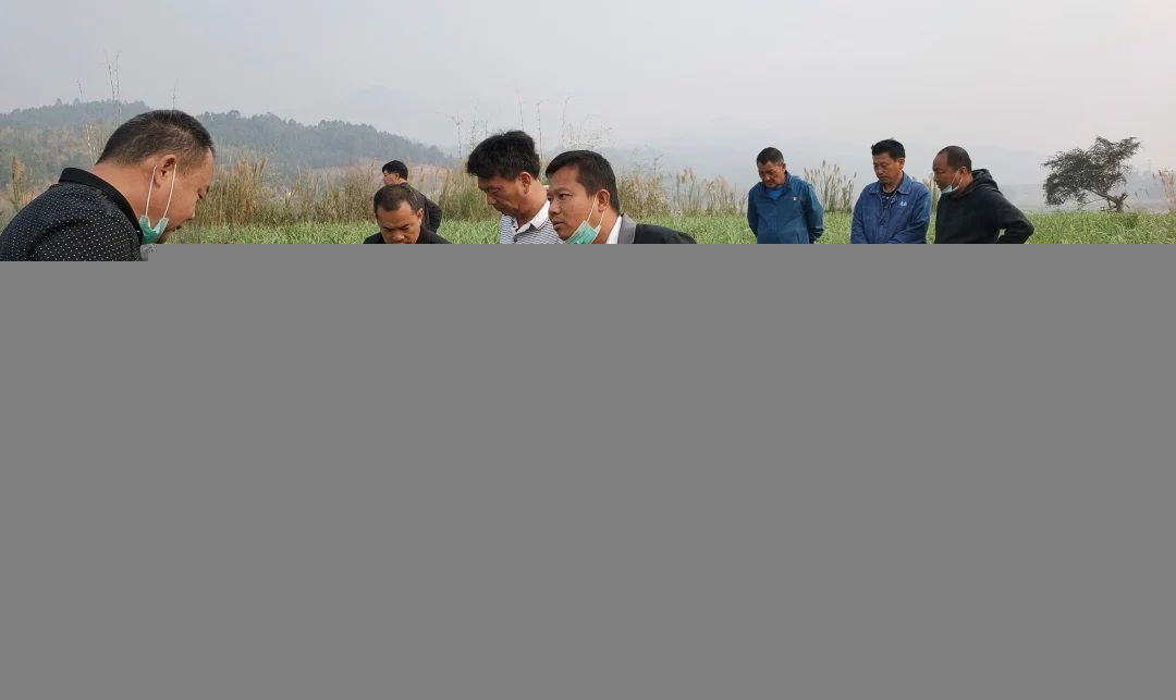 1585689296831197.png image.png