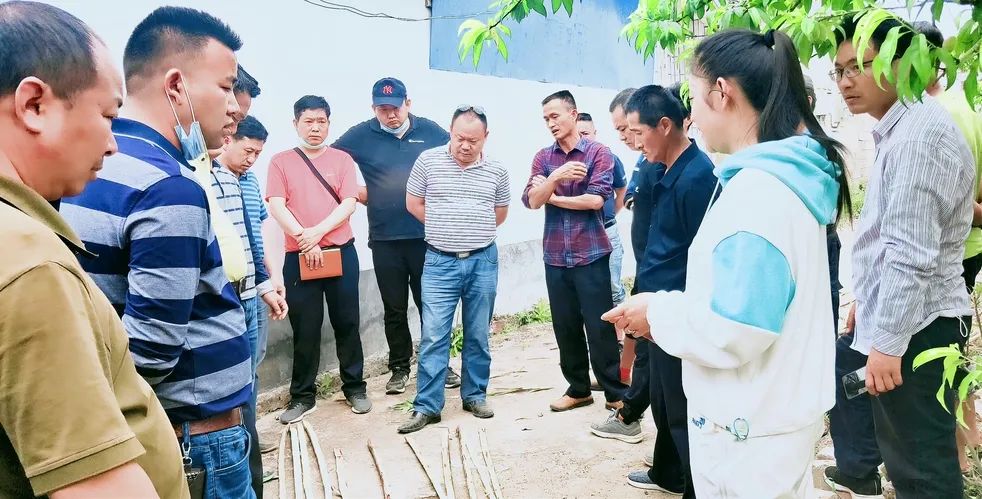 1585689360964783.jpg 79daae04107699be586975451a43c0d4.jpg