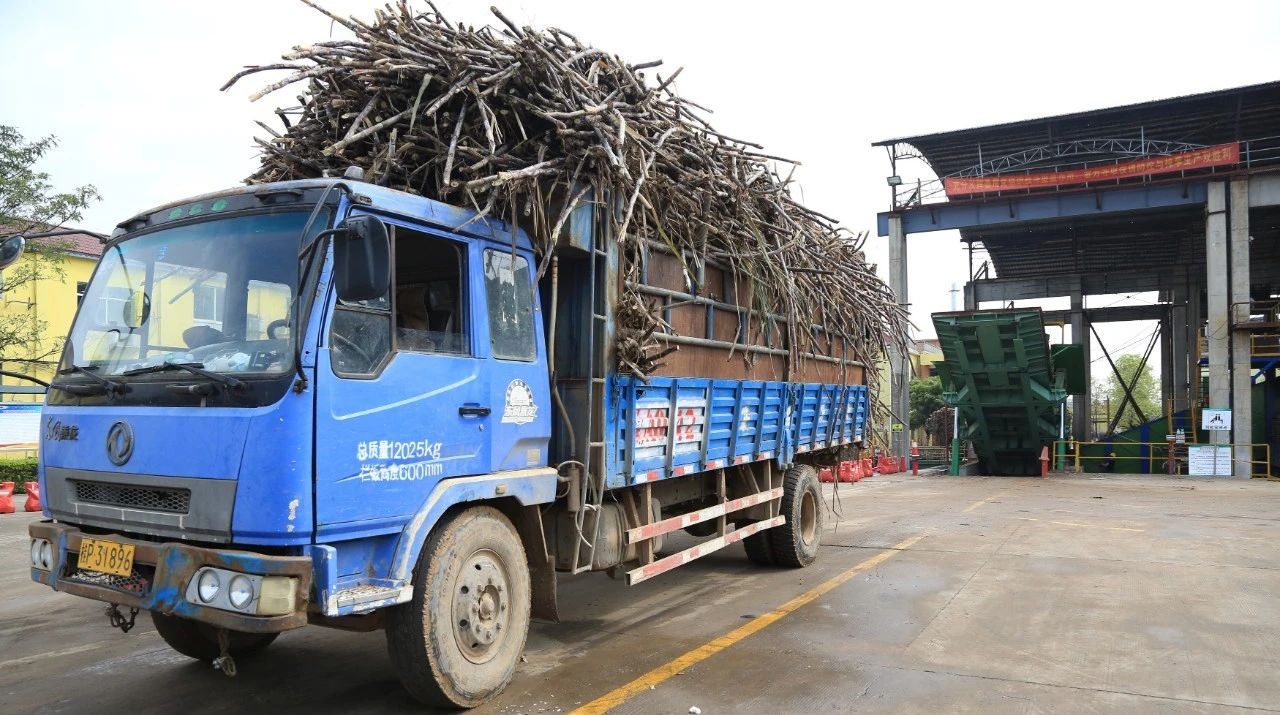 1585689705386462.jpg 653caf0a2b29232875a9d1968e3e3330.jpg