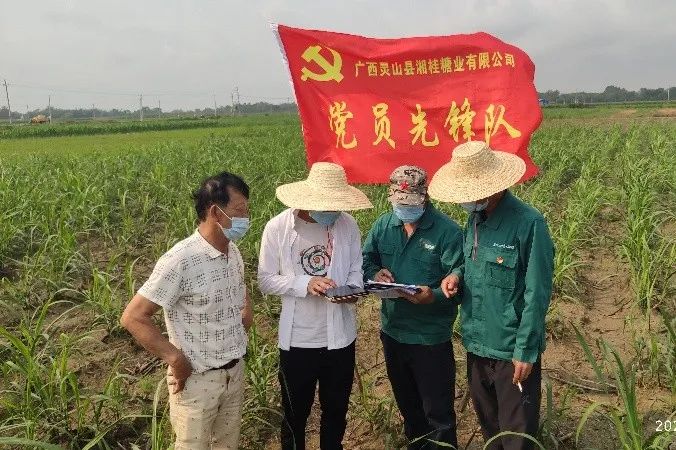 1585689977134530.jpg 1585689977134530.jpg