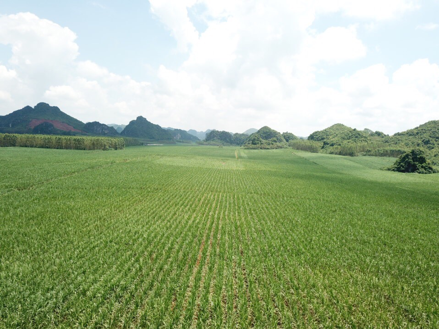 1585690201919960.png 圖片 1.png