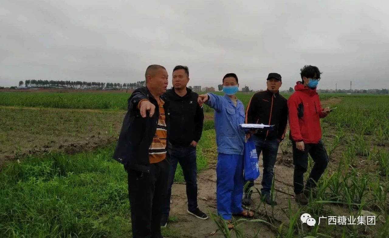 1585786557217229.jpg d8aefc75910181dacc5b34eea1ffbde4.jpg