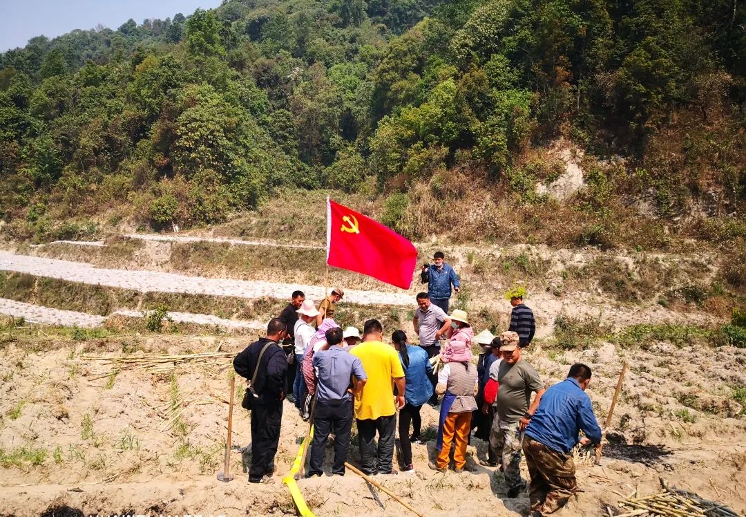 1585942104453641.jpg 49596d8decba70cd4374f14d6c3d79d1.jpg