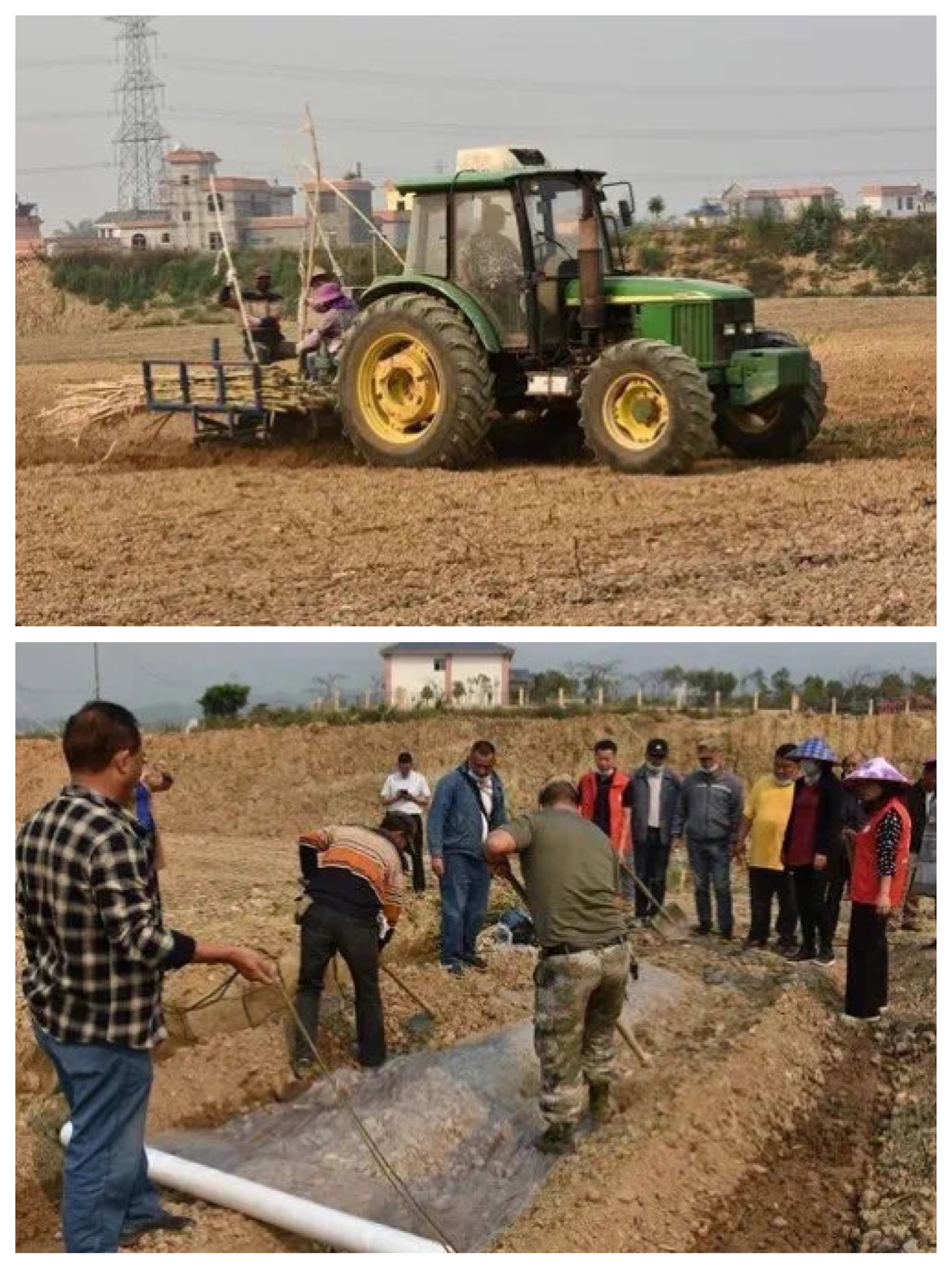 1585942421168880.jpeg WechatIMG133.jpeg