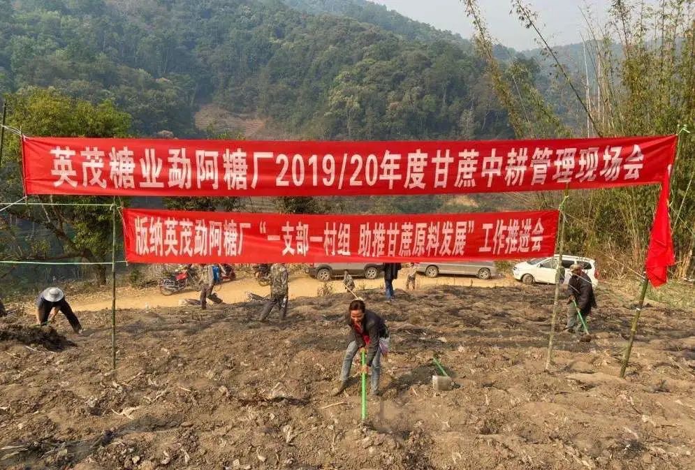 1586406477460574.jpeg WechatIMG8.jpeg