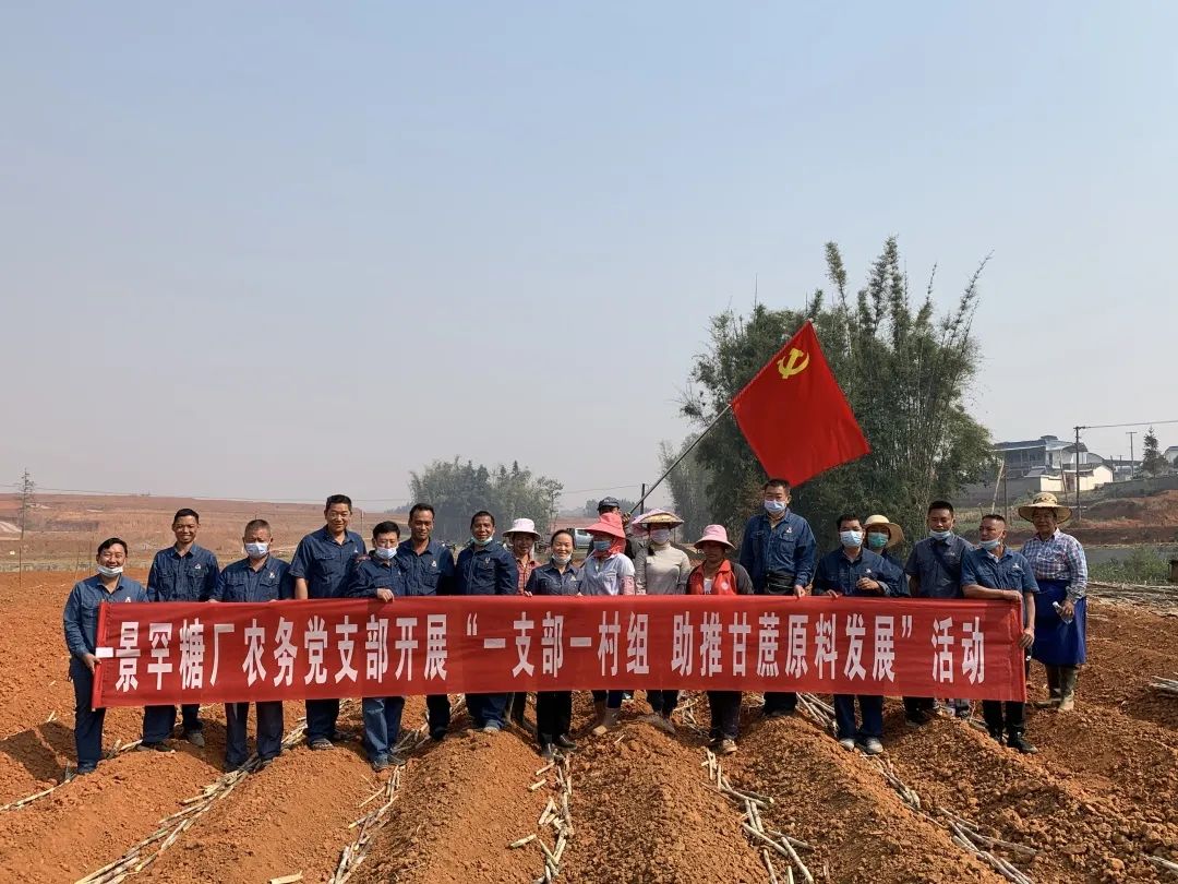 1586406930750232.jpg 2d5f4cdaaae7dd25af1e9ce37509855a.jpg