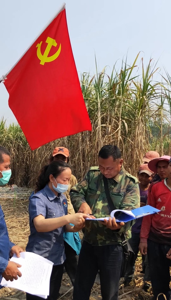 1586407055394016.jpg 1586429952274.jpg