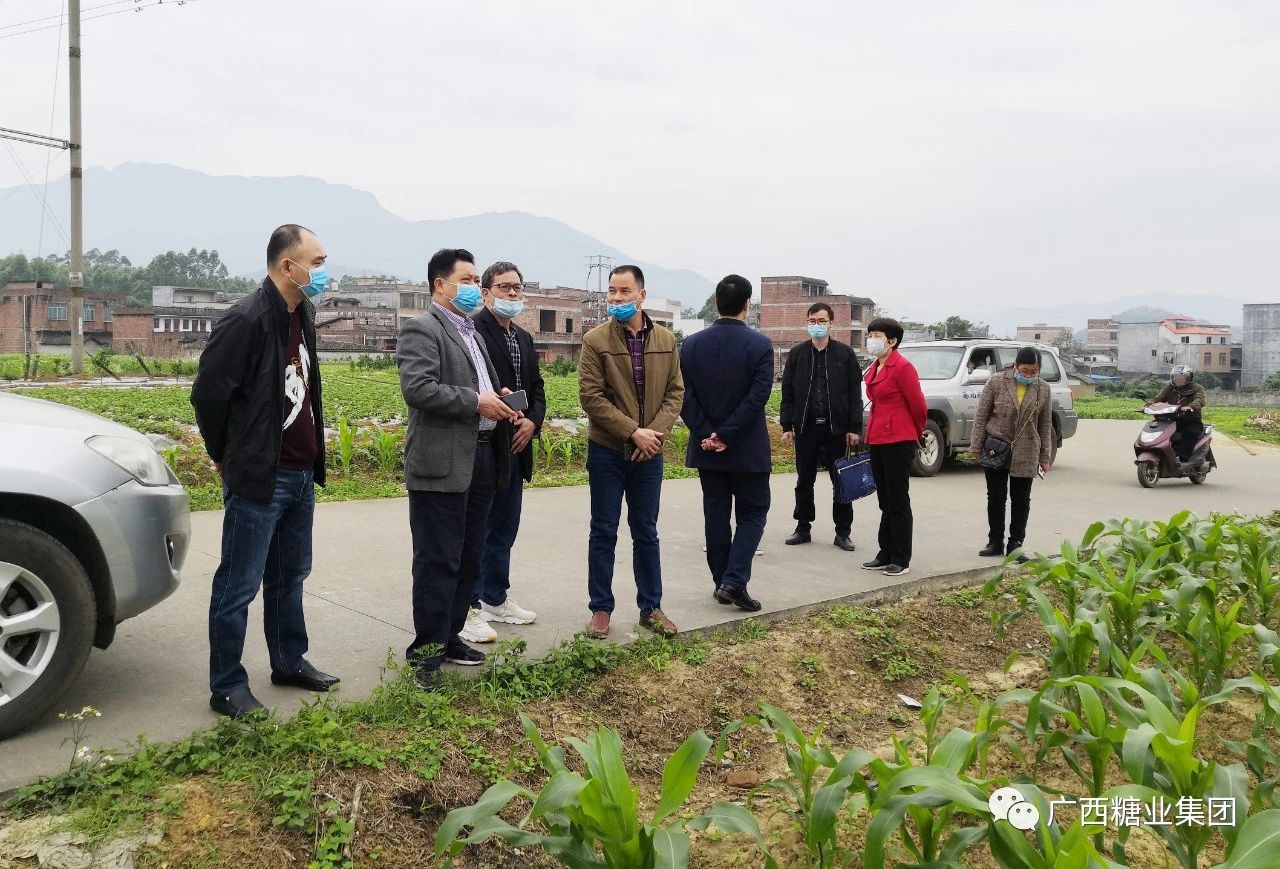 1586921273111119.jpg 1e83c289fcaf63f542bda9eb2fd6bf78.jpg