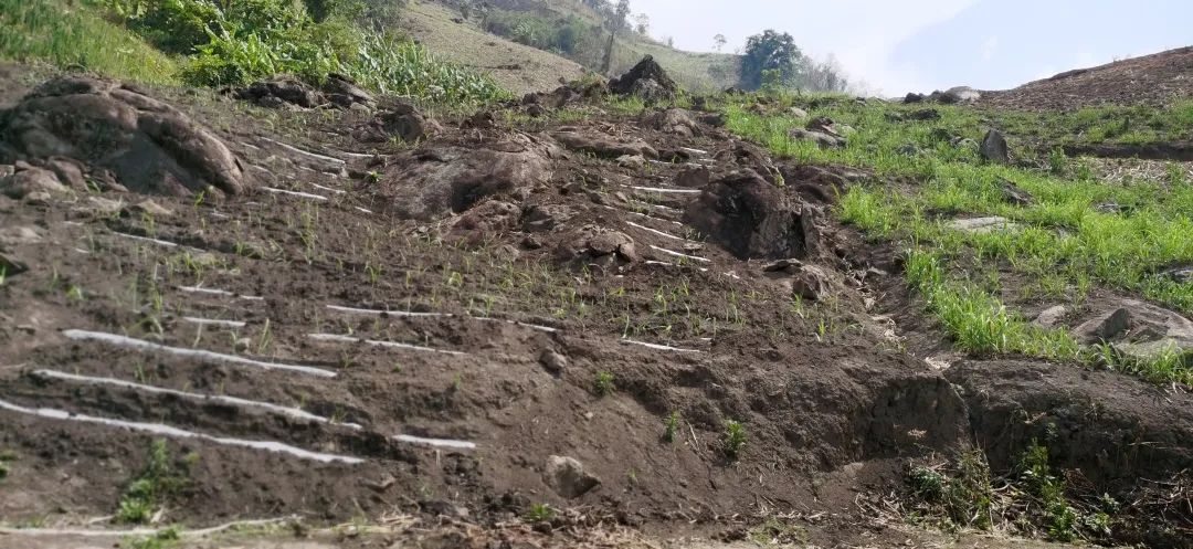 1587659924169530.jpg 1530fcdd78d28204dc2500c7d644f46c.jpg