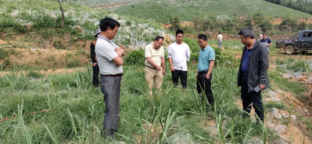 1587941577286629.jpg 7fb268dd18d9ea7f6be0f9abb38277e3.jpg