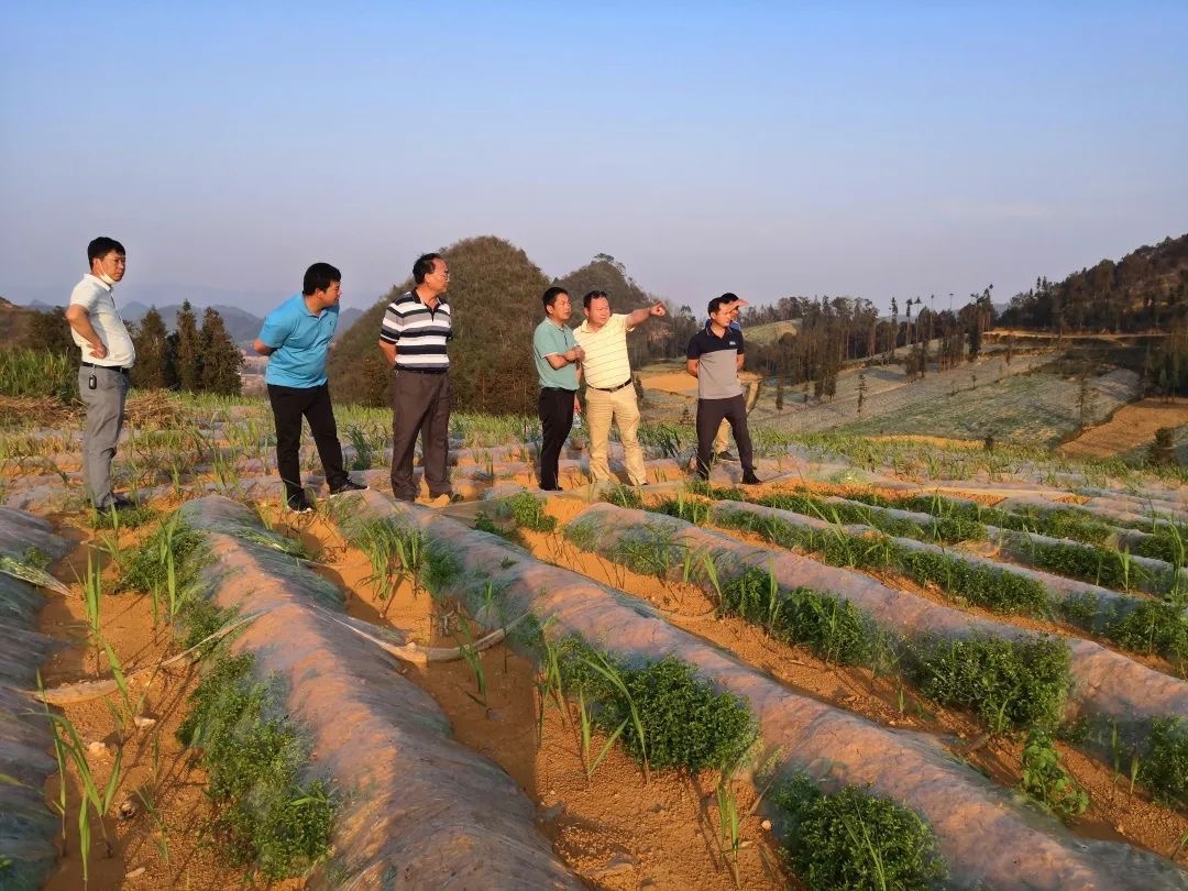 1587941649885613.jpeg WechatIMG12.jpeg