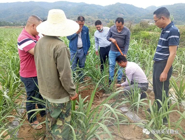 1588192081629101.jpg ddc0b60f49833caf24bb53ae0a5bd557.jpg