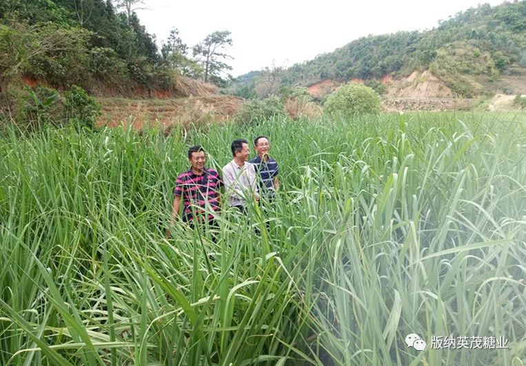 1588192224229072.jpg ef95da4db90a6daf76ab3cb89d12c401.jpg