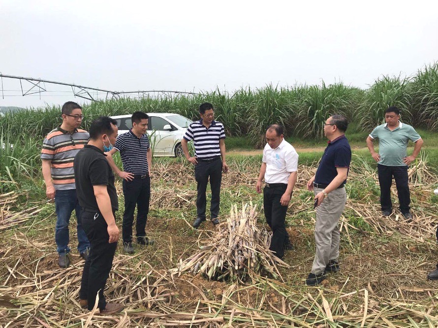 1588819693951244.jpg 1588759972897.jpg