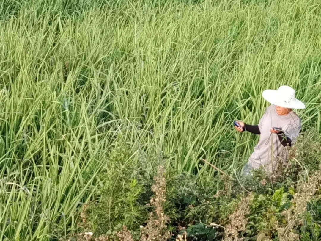 1589925986780920.jpg 微信圖片_20200519173457.jpg