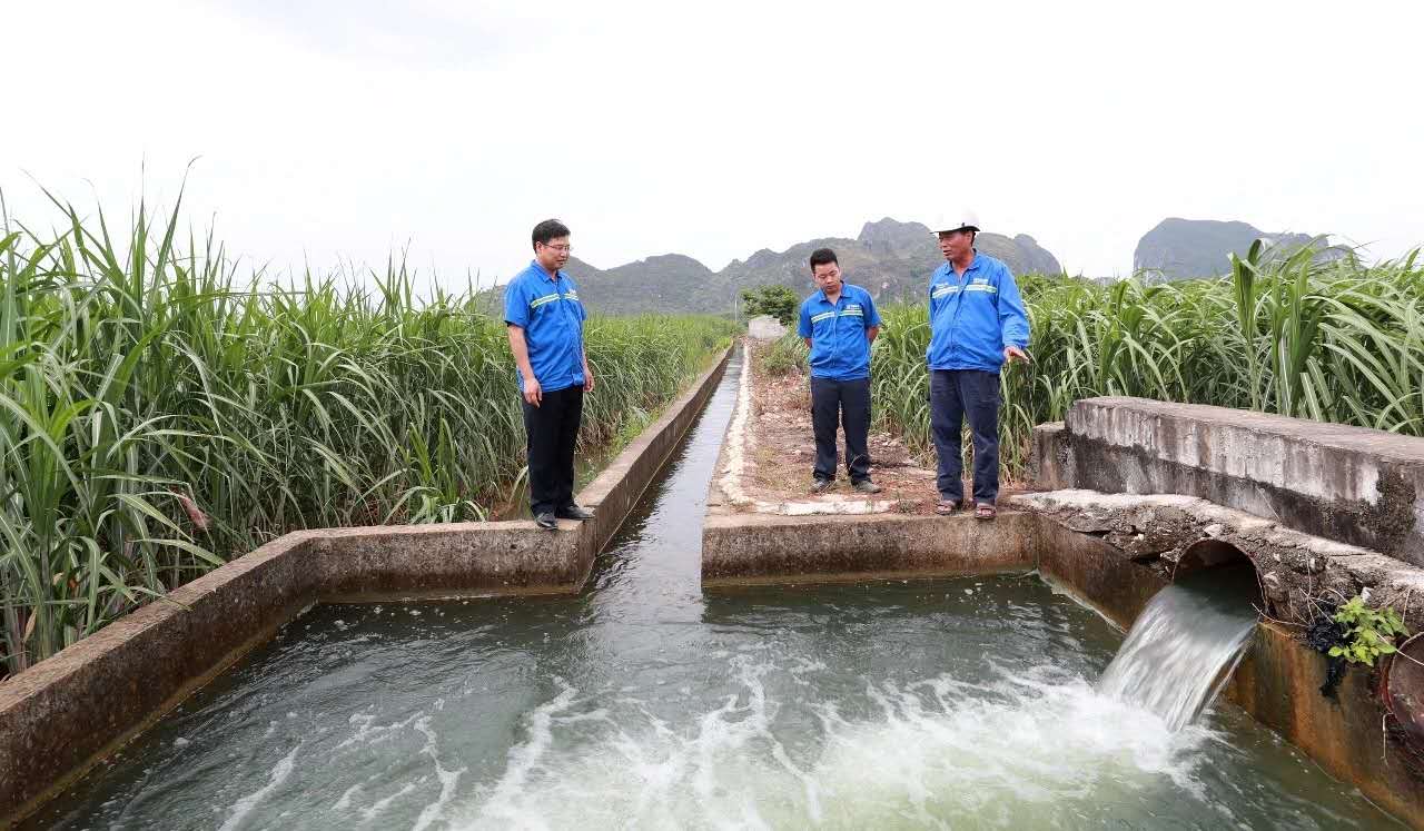1596404903714258.jpg 利用原有水利設施抽水抗旱1.jpg