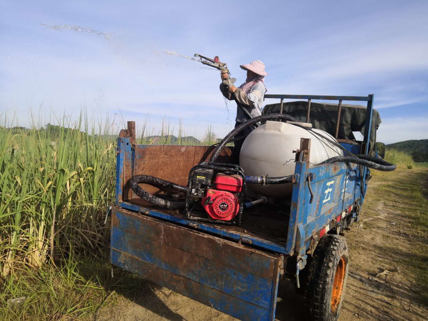 1596404934701782.jpg 蔗農淋水抗旱4.jpg