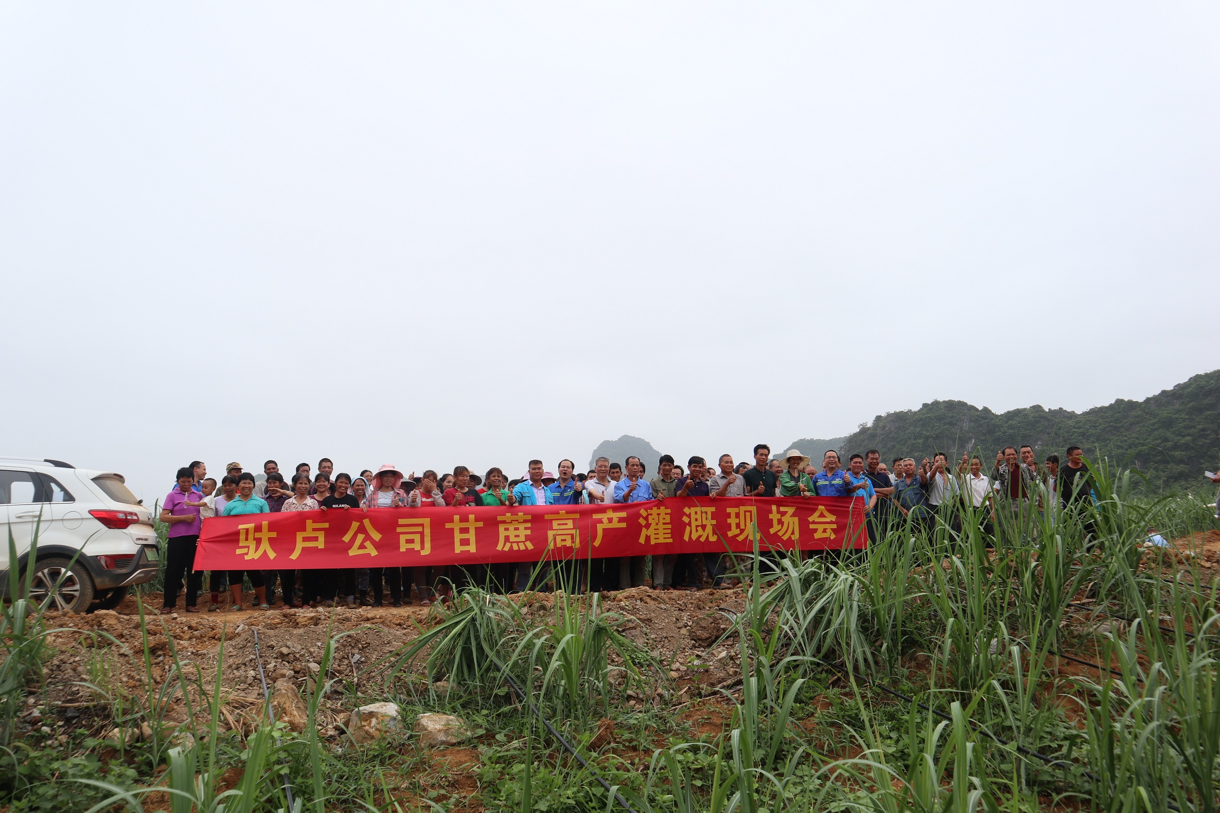 1596405017878653.jpg 馱盧公司灌溉現場會1.jpg