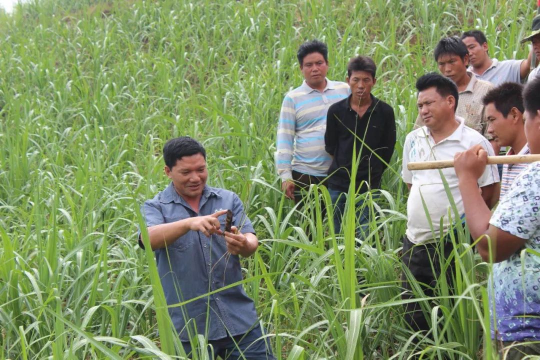 1606358851796622.jpg 微信圖片_20201126104131.jpg