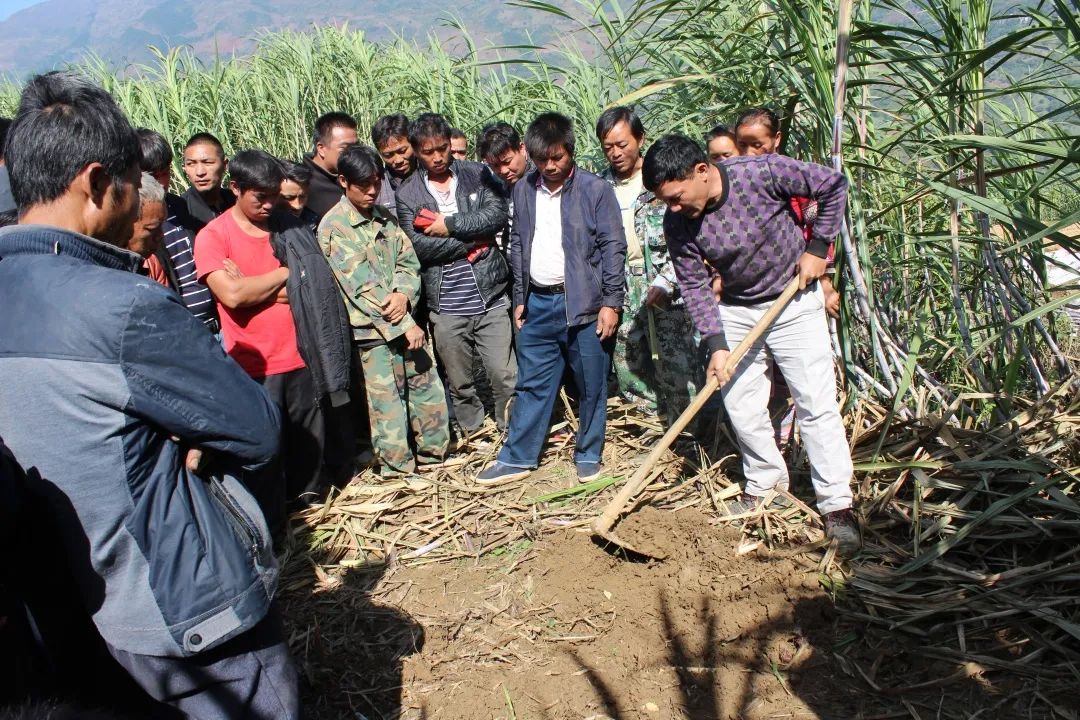 1606358858782363.jpg 微信圖片_20201126104135.jpg