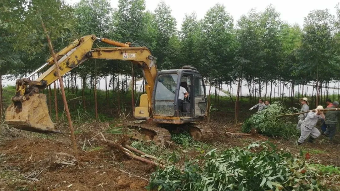 1621267891308285.png 圖片.png