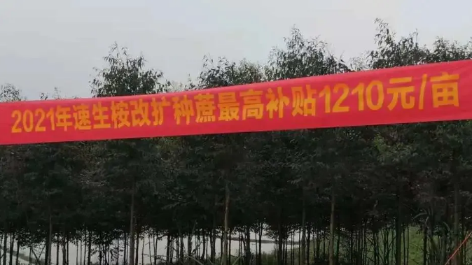 1621267992405994.png 圖片.png