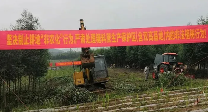 1621268022715532.png 圖片.png