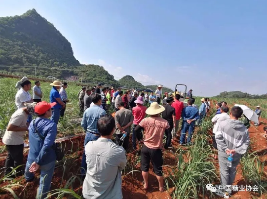 1621472065414374.png 圖片.png