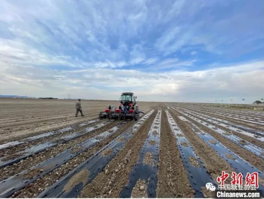 1621956034536436.png 圖片.png