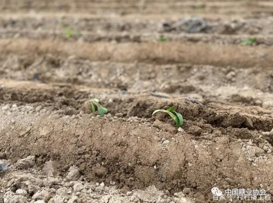 1621956270715530.png 圖片.png