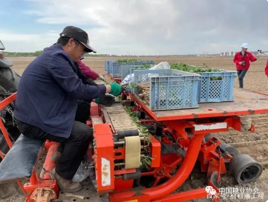 1621956360972835.png 圖片.png