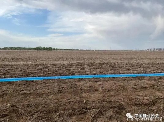 1621956411932323.png 圖片.png