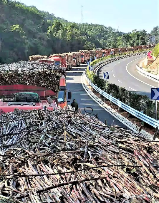 1623024333219623.png 圖片.png