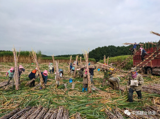 1623024385219110.png 圖片.png