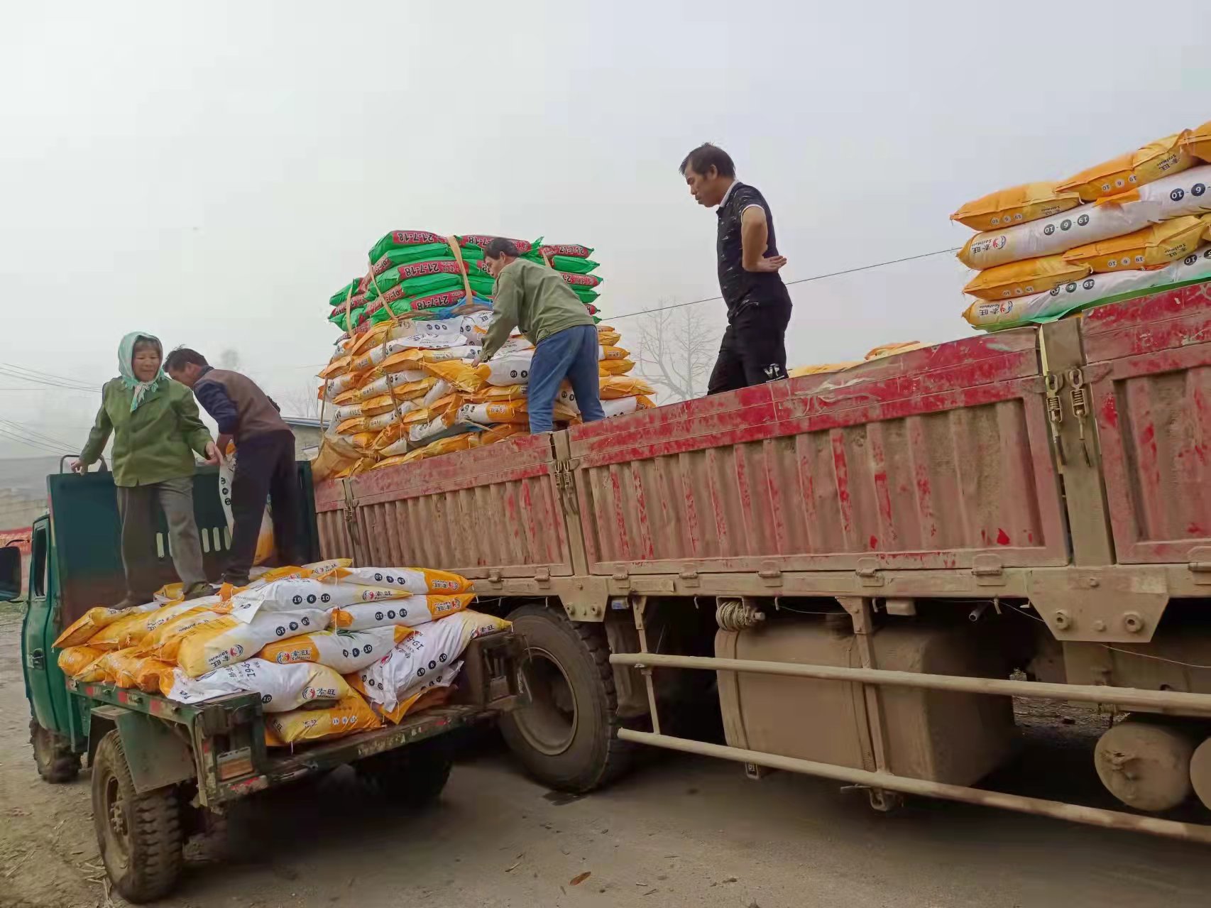 1646786187862592.jpg 調發肥料.jpg